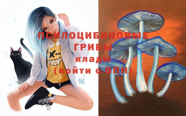 мескалин Бронницы