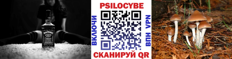 Галлюциногенные грибы мухоморы  нарко площадка какой сайт  Тобольск 